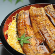 田園浪鰻 鰻丼
